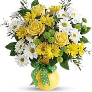 Teleflora's Daisies And Dots