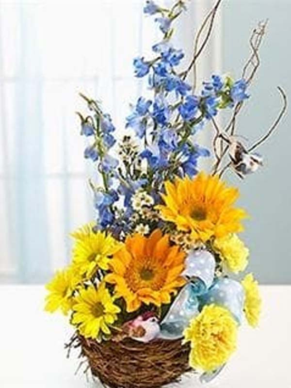 Welcome to the World - Blue