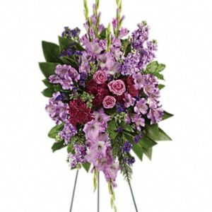 Lavender Reflections