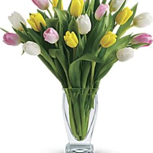 Tulip Treasure