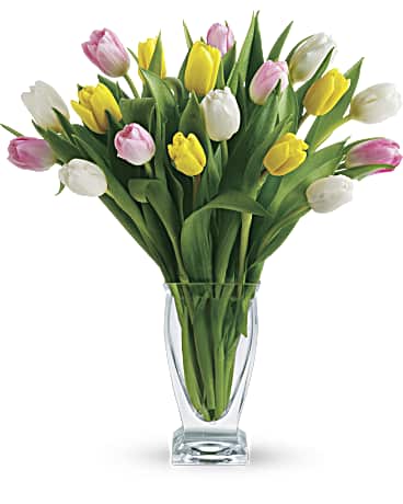 Tulip Treasure