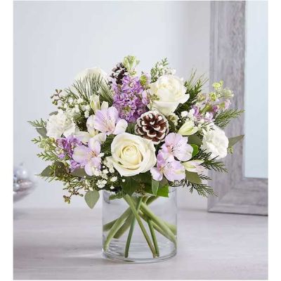 <p>We’ve captured the peaceful beauty of winter in our lovely bouquet. A new seasonal version of our best seller, it’s loosely gathered with soothing lavender & white blooms, cascading greenery all around and pinecone accents for a rustic touch. A truly wonderful way to express your sentiments this time of year.</p>
<ul>
<li>All-around arrangement with white roses and carnations; lavender Peruvian lilies (alstroemeria) and stock; accented with baby’s breath, seeded eucalyptus, pinecone picks and assorted Christmas greenery</li>
<li>Artistically designed a clear glass cylinder vase</li>
<li>Large arrangement measures approximately 15"H x 13"W</li>
<li>Medium arrangement measures approximately 13"H x 12"W</li>
<li>Small arrangement measures approximately 12"H x 9"W</li>
<li>Our florists select the freshest flowers available, so colors, varieties and container may vary due to local availability</li>
<li>To ensure lasting beauty, Peruvian lilies may arrive in bud form and will fully bloom over the next few days</li>
</ul>
